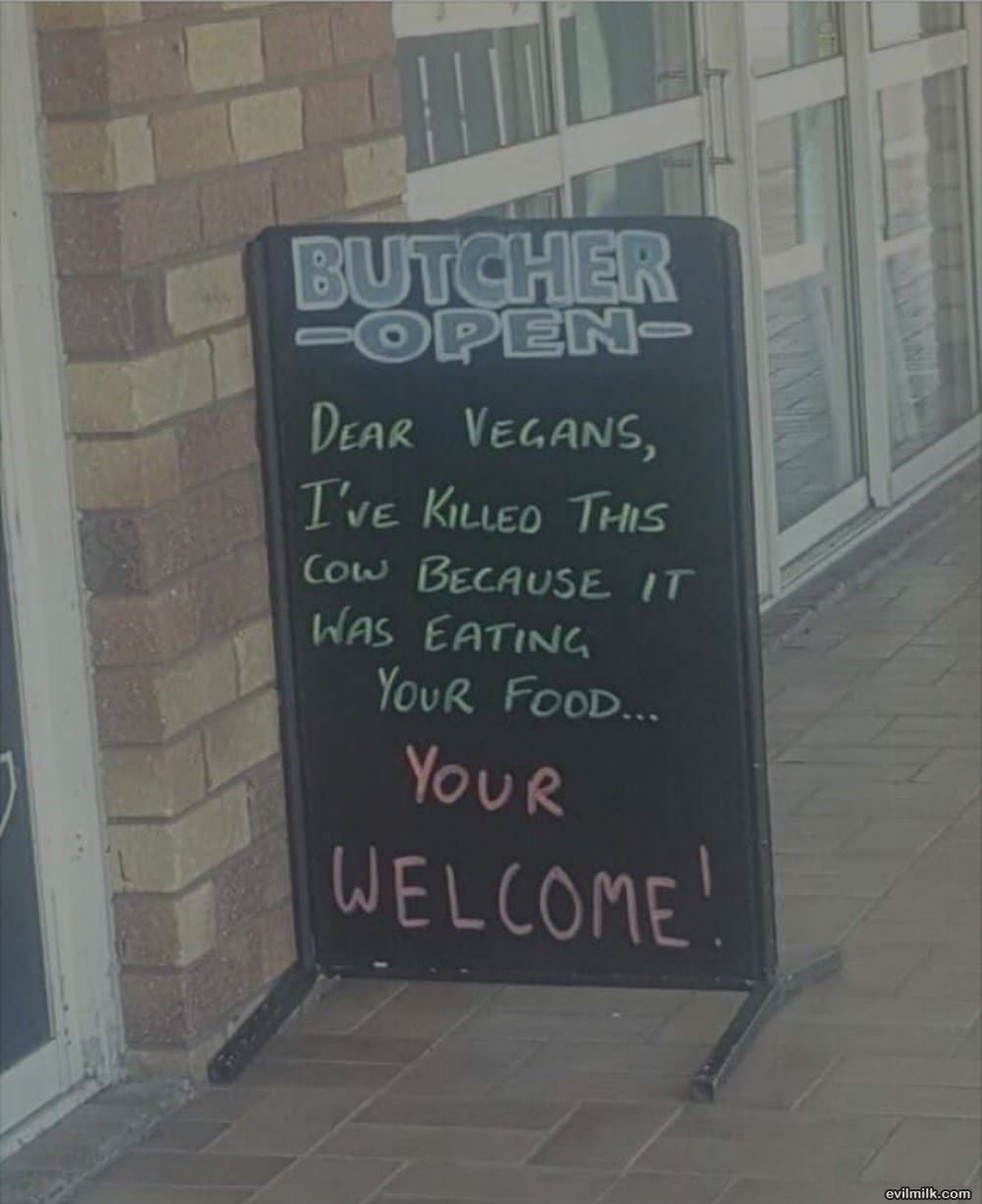 Dear Vegans