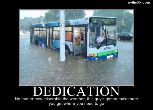 Dedication