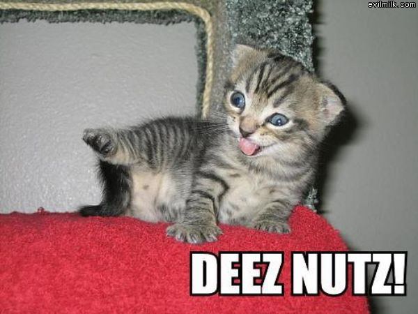 Deez Nutz