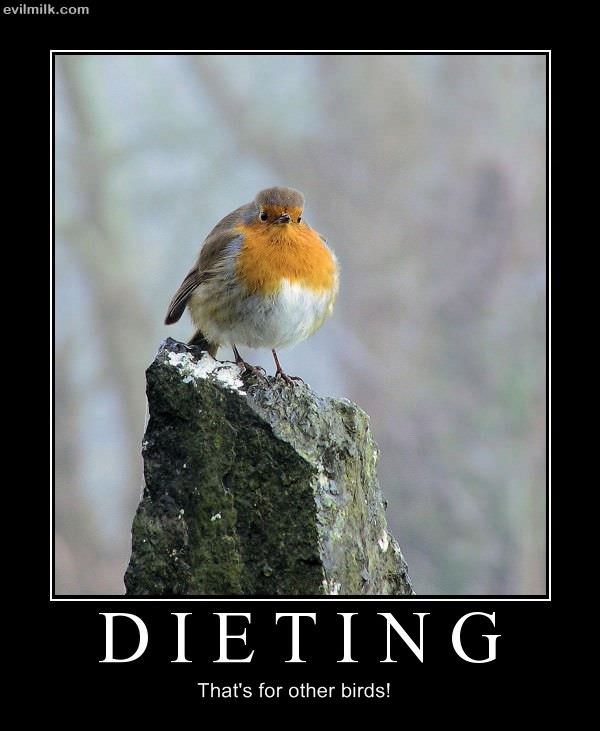 Dieting