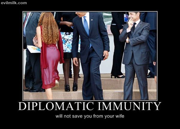 Diplomatic Immunity