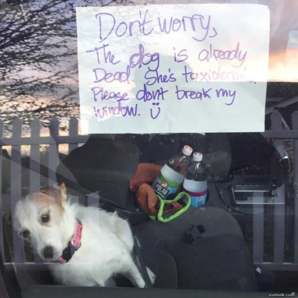 Do Not Break The Window