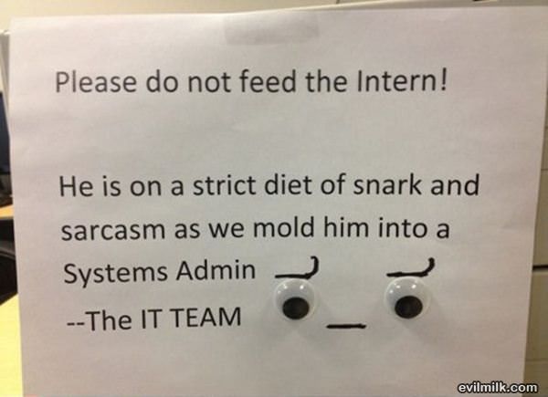 Do Not Feed The Intern