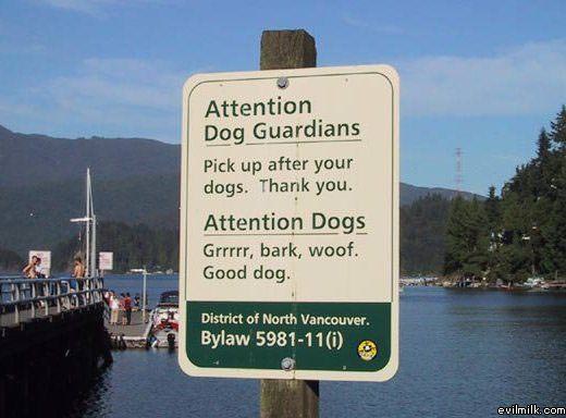 Dog Guardians