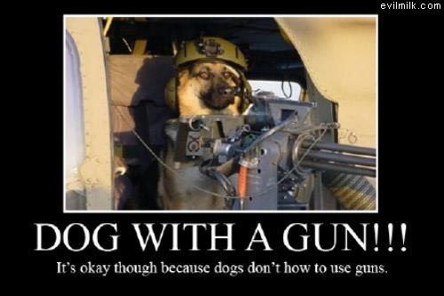 Dog With A Gun