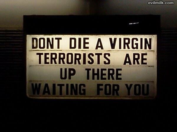 Dont Die A Virgin