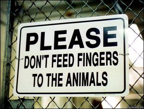 Dont Feed The Animals