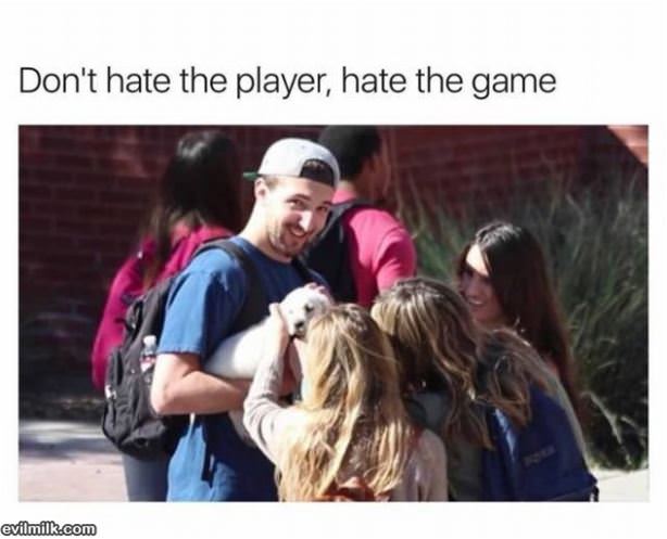 Dont Hate The Player