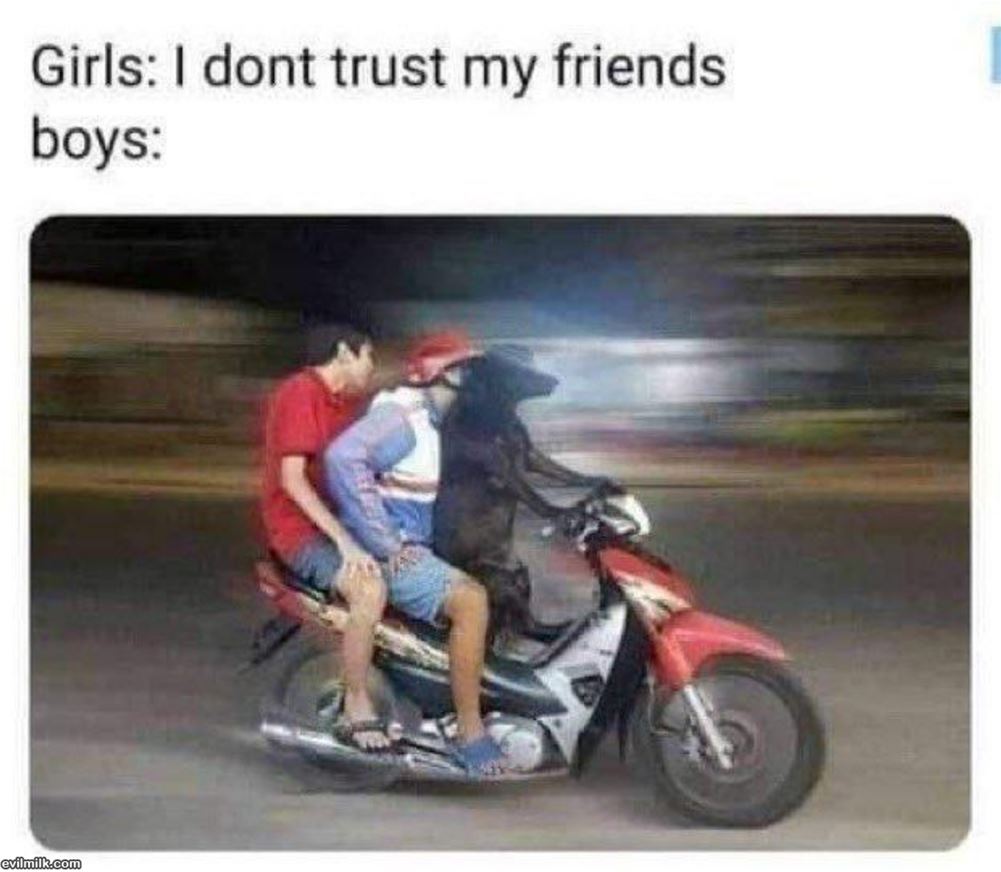 Dont Trust Them