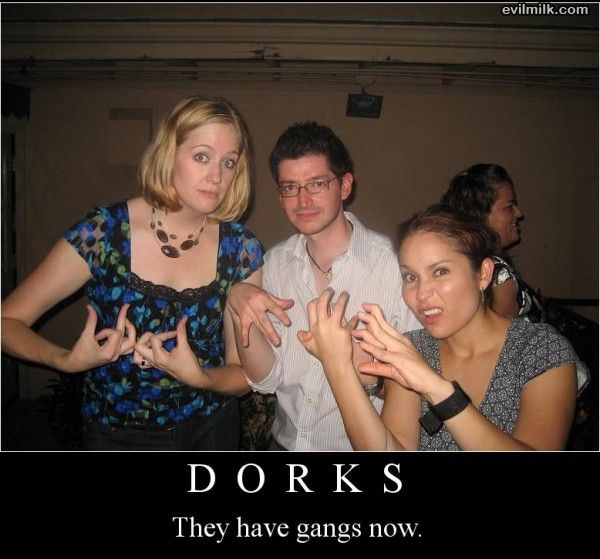 Dorks Have Gangs