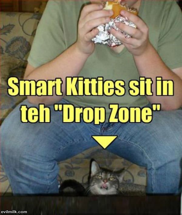 Drop Zone