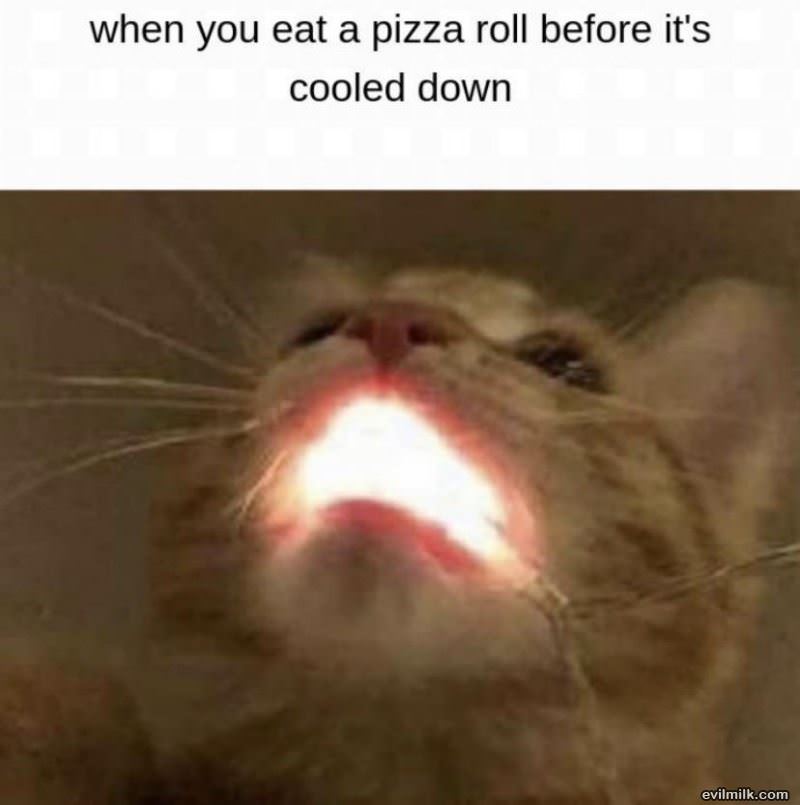 Eating A Pizza Roll