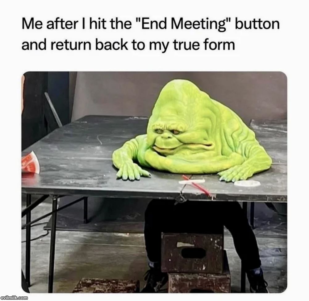 End Meeting