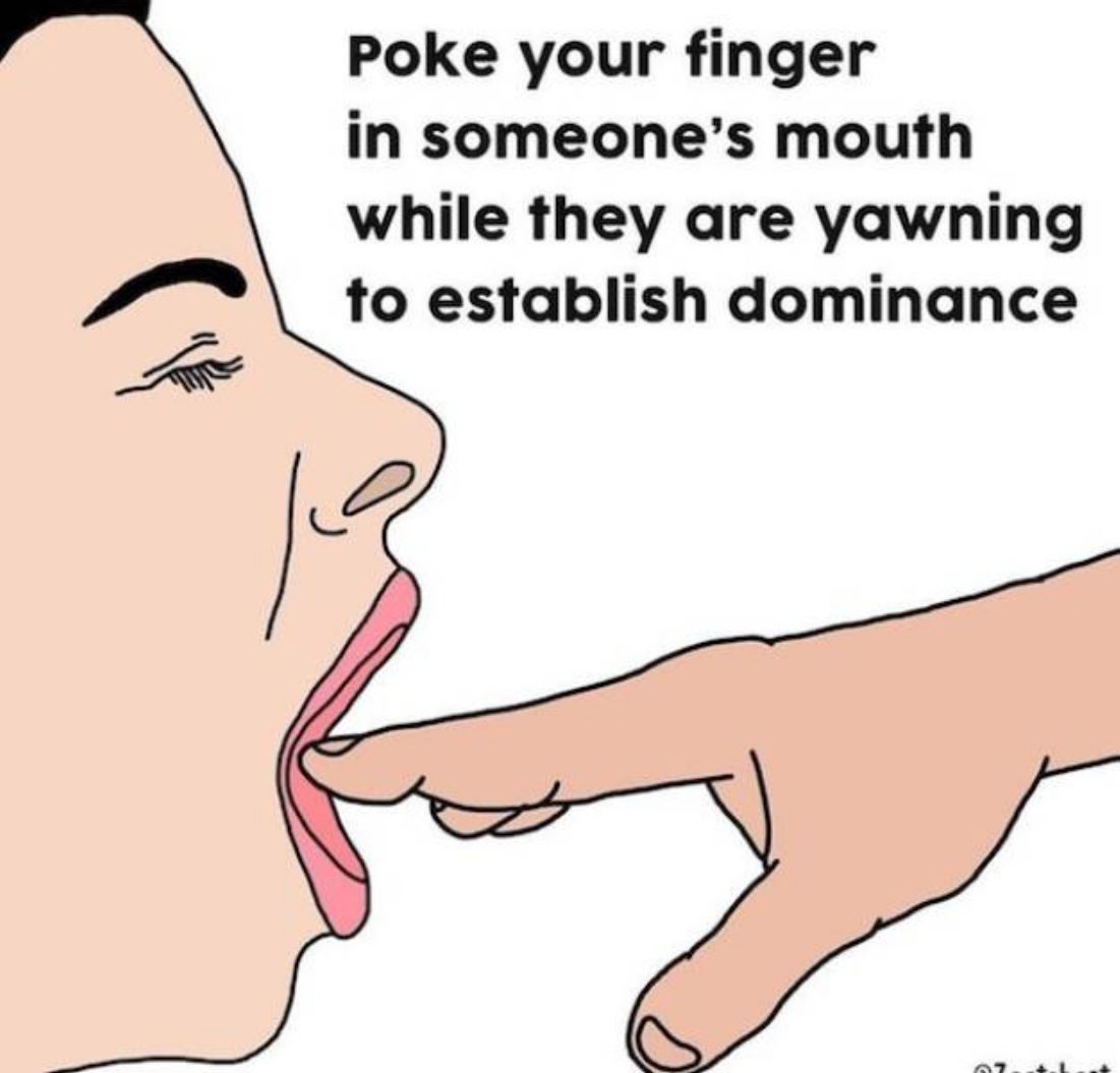 Establish Dominance