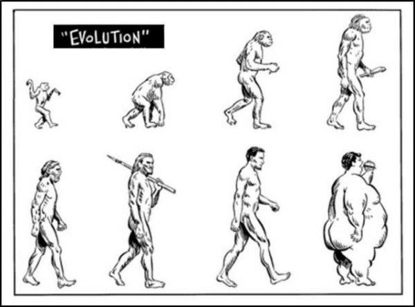 Evolution