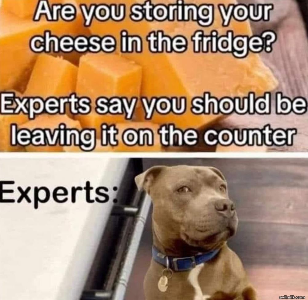 Expert Advice