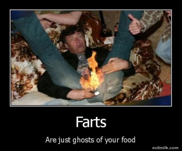 Farts