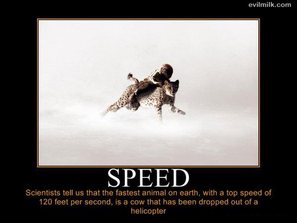 Fastest