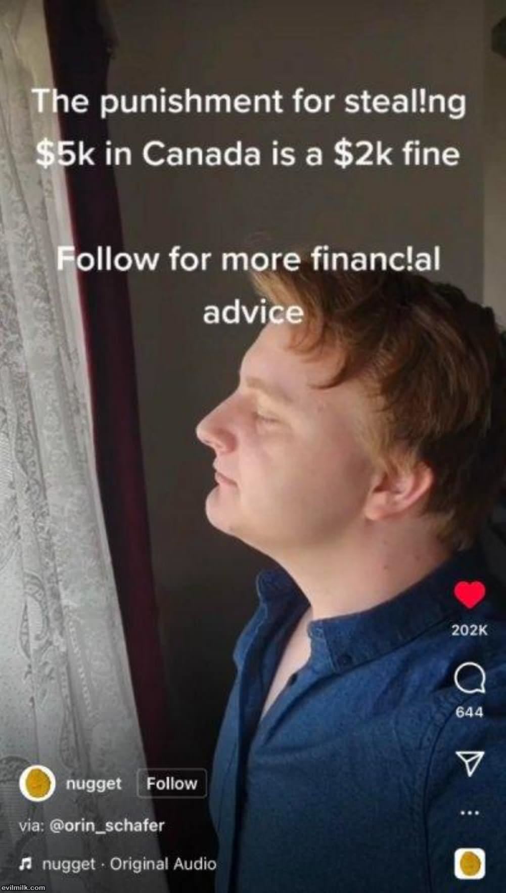 Financial Advice