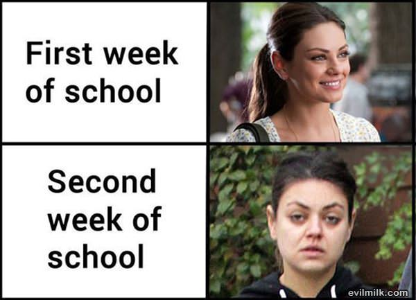 First Week Of School