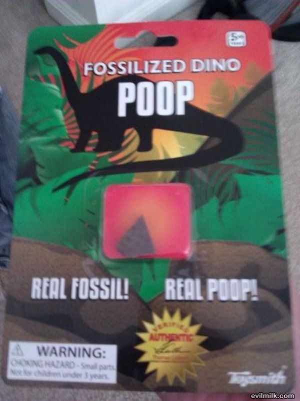 Fossilized Dino Poop