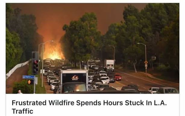 Frustrated Wildfire