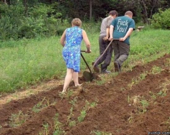 Fuck You Plow Lady