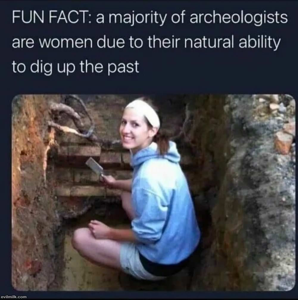 Fun Fact