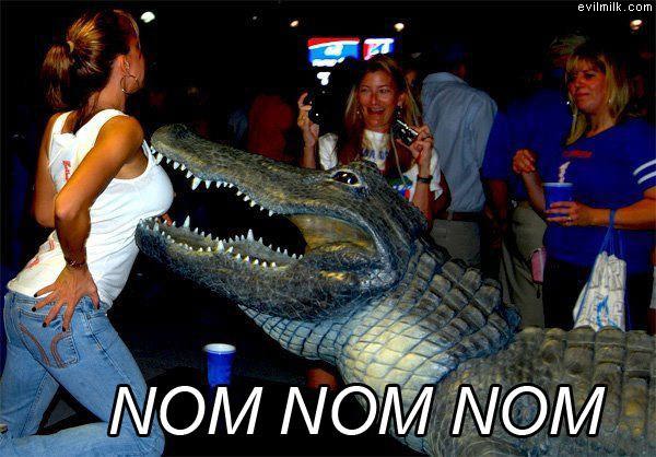 Gator Nomming