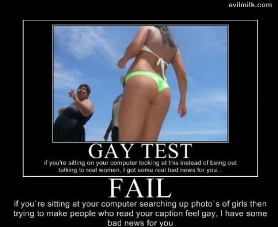 Gay Test