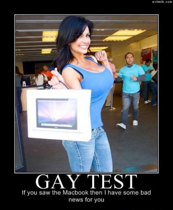 Gay Test