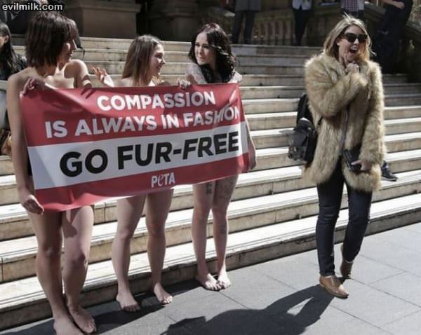 Go Fur Free