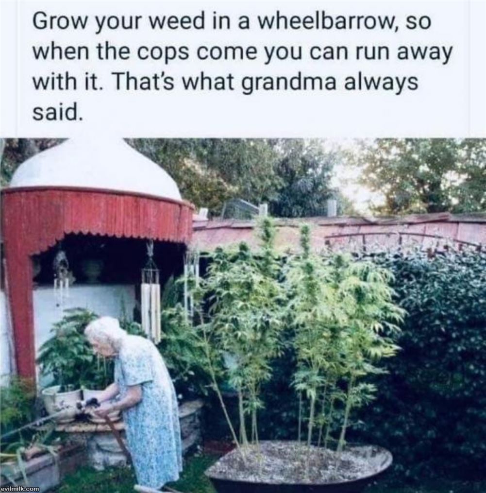 Grandma Always Thinking