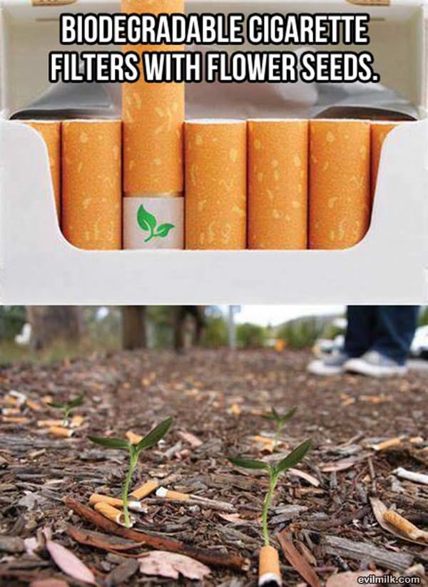 Green Cigarettes