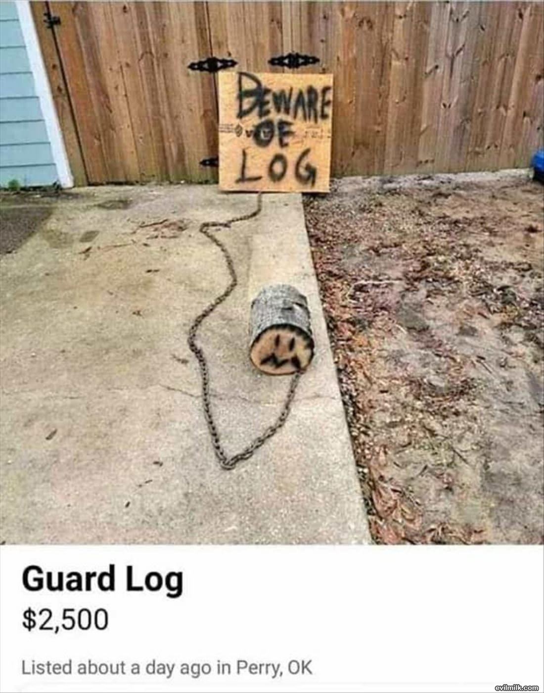 Guard Log