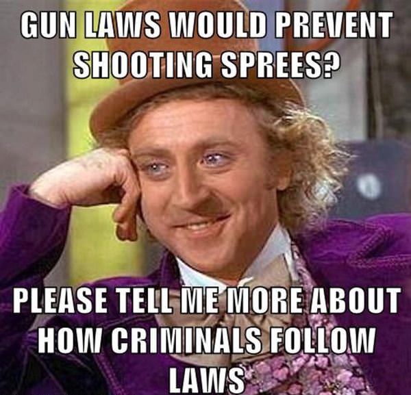 Gun Laws