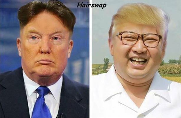 Hairswap