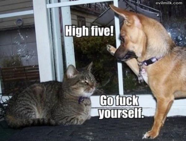 High Five