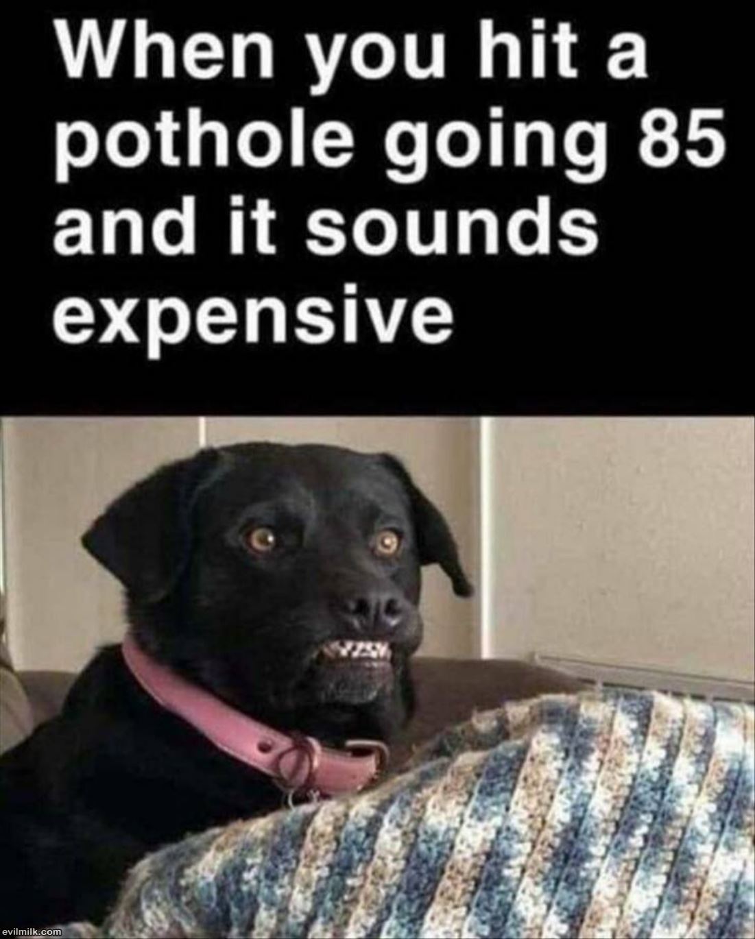 Hit That Pothole