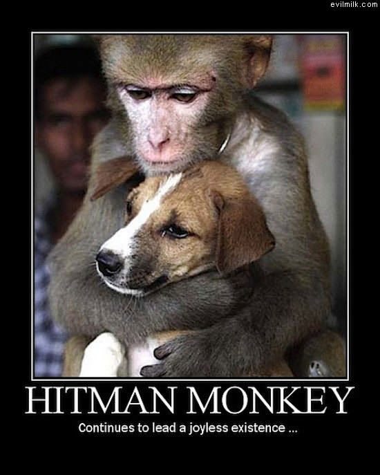 Hitman Monkey