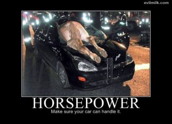 Horse Power