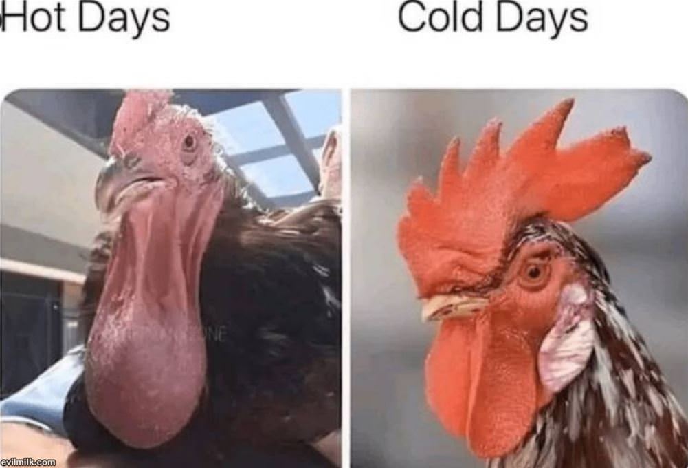 Hot Days And Cold Days