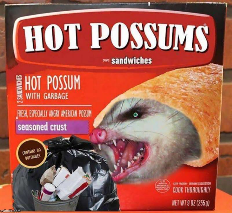 Hot Possums