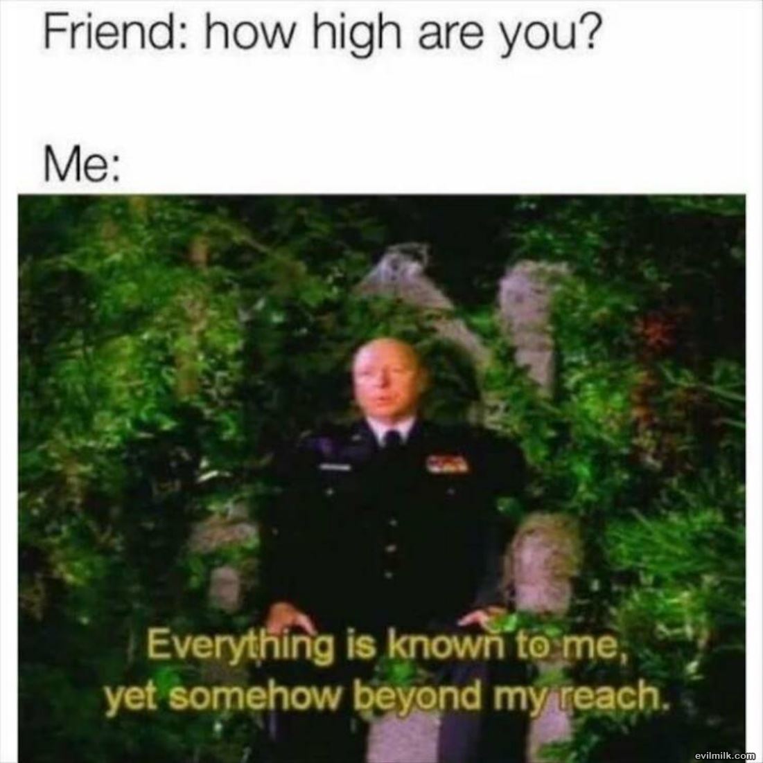 How High Are You