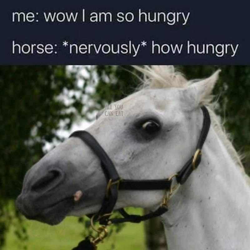 How Hungry