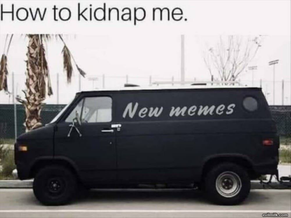 How To Kidnap Me