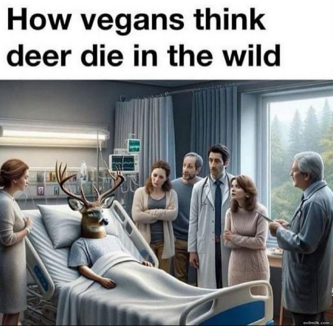 How Vegans Think