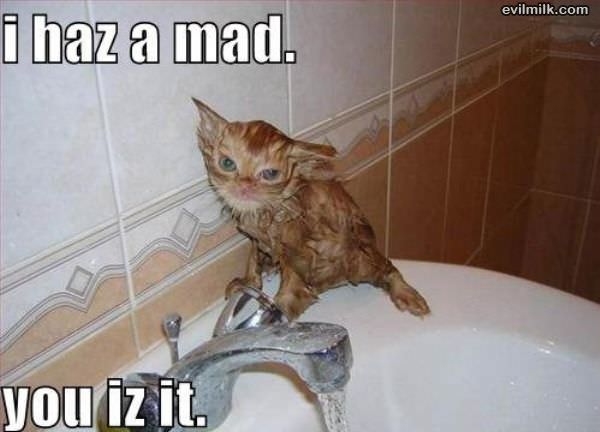 I Haz A Mad