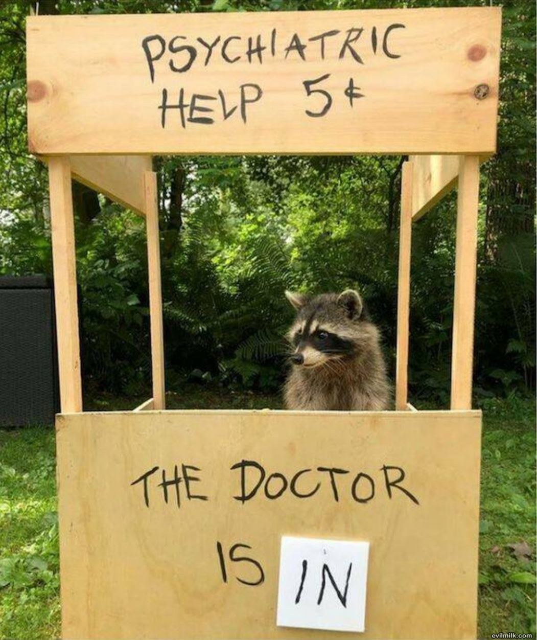 I Need Some Help Doc