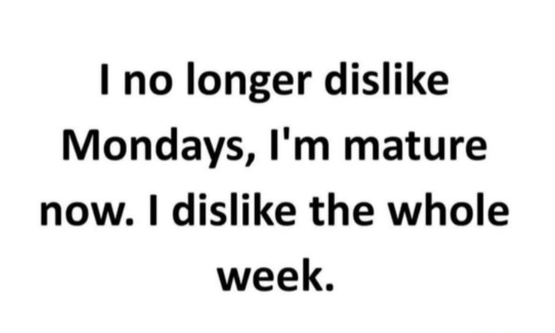 I No Longer Dislike Mondays